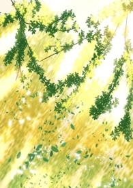 秋琛叶知秋孟亦琛