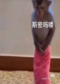 秋琛叶蓝天