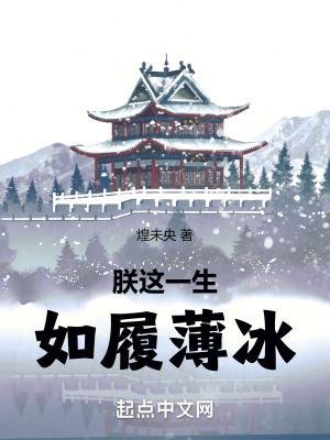 追寻武道巅峰