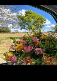 毒妃嫁到全文免费阅读