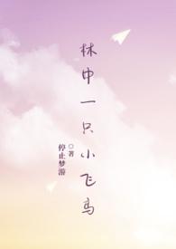 顶风作案后面一句